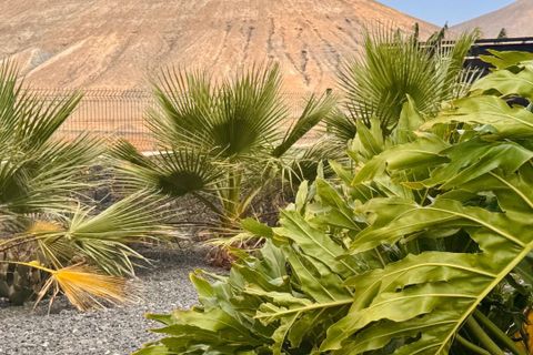 Villa i La Oliva, Fuerteventura, La Oliva - € 635.000 | Ref: villaoliva - foto 44
